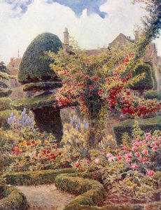 A Levens Hall-i rózsakert, Westmoreland (színes litográfia)