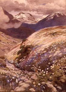 Alpesi virágok (akvarell, papír) alkotó: George Soper