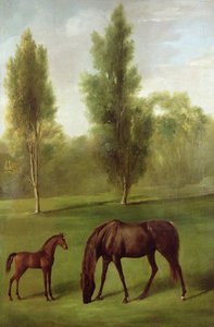 Gesztenyekanca és csikó erdős tájon, 1761-63 körül (olaj, vászon) alkotó: George Stubbs