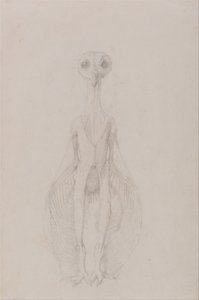 Az emberi test felépítésének összehasonlító anatómiai bemutatása a tigris és a közönséges szárnyas testével: Álló bagoly, elülső nézet alkotó: George Stubbs