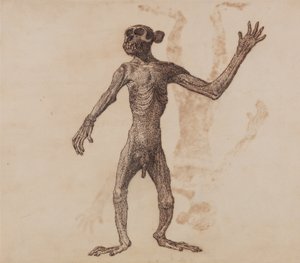 Az emberi test felépítésének összehasonlító anatómiai bemutatása a tigris és a közönséges szárnyas testével:  Álló majom, elülső nézet alkotó: George Stubbs