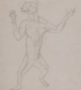 Az emberi test felépítésének összehasonlító anatómiai bemutatása a tigris és a közönséges szárnyas testével:  Tigris teste, emberi testtartásban állva alkotó: George Stubbs