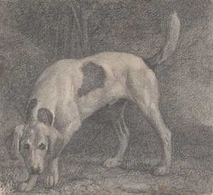Egy rókakutya az illatban alkotó: George Stubbs