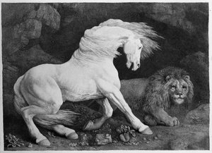 Egy oroszlán által megrémített ló, a művész metszete, 1788 alkotó: George Stubbs