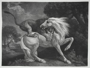 Oroszlán által megtámadt ló, 1788. alkotó: George Stubbs