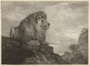 Egy oroszlán [Egy oroszlán pihen egy sziklán] alkotó: George Stubbs
