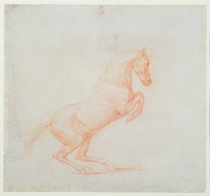 Egy ágaskodó ló, jobbra fordítva, 1790 (piros kréta papíron) alkotó: George Stubbs