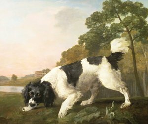 Spániel a tájban, 1771