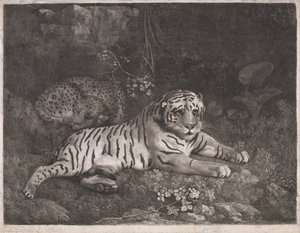 Egy tigris és egy alvó leopárd alkotó: George Stubbs