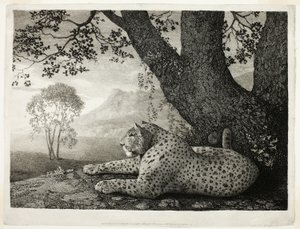Egy tigris (egy fán fekvő leopárd) alkotó: George Stubbs