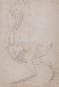 Tyúk teste, oldalnézet (valószínűleg előkészítve a tányérra a kulcsfigura X. táblázathoz való gravírozásához) alkotó: George Stubbs