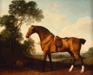 G. Stubbs, Egy nyerges öbölvadász alkotó: George Stubbs