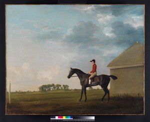 Gimcrack John Pratttal a Newmarket Heath-en, 1765