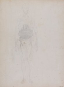 Emberalak, elölnézet (nagyrészt körvonalban) alkotó: George Stubbs
