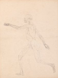 Emberi alak, oldalnézet (a XIII. táblázat kulcsfigurájához) alkotó: George Stubbs