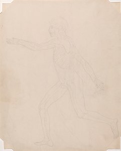 Emberalak, Oldalnézet alkotó: George Stubbs