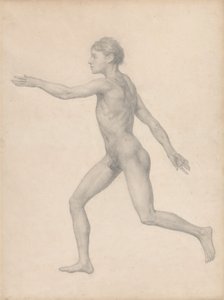 Emberalak, oldalnézet, felbontatlan (Befejezett vizsgálat a VIII. táblázathoz) alkotó: George Stubbs