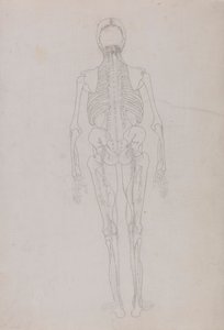 Emberi alak, hátsó nézet (a kulcsfigura körvonalrajza, amely a boncolás utolsó szakaszát mutatja) alkotó: George Stubbs