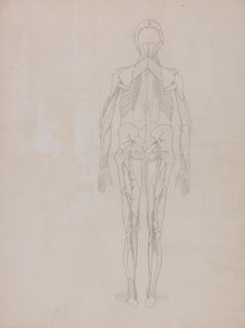 Emberi alak, hátsó nézet (egy kiadatlan tábla kulcsfigurájának körvonala) alkotó: George Stubbs