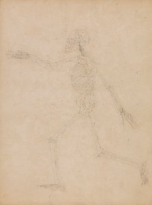 Emberi csontváz, oldalnézet alkotó: George Stubbs