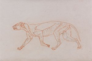 Leopárd test, oldalnézet alkotó: George Stubbs