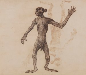 Álló majom, elölnézet alkotó: George Stubbs