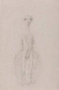 Álló bagoly, elölnézet alkotó: George Stubbs