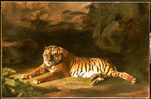 A királytigris portréja, 1770 körül