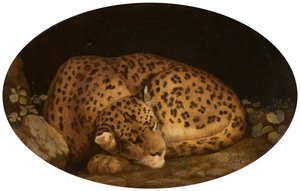 Sleeping Leopard, 1777. 