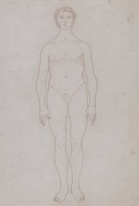 Az emberi alak tanulmányozása, elölnézet (Vázlati rajz a VI. táblázathoz) alkotó: George Stubbs