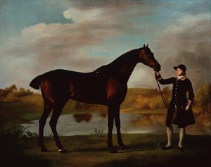 A Duke of Malborough