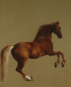 Whistlejacket alkotó: George Stubbs