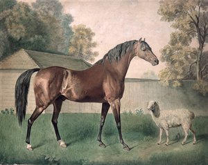 "Dungannon" (akvarell papíron)