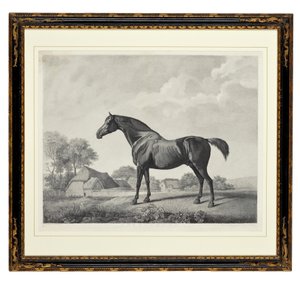 Sweetbrier (stipple gravírozás)