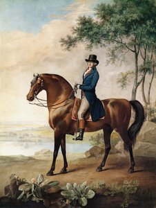 Warren Hastings Esq. arab lován, George Stubbs festménye után
