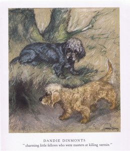 Dandie Dimonts (színes litográfia)