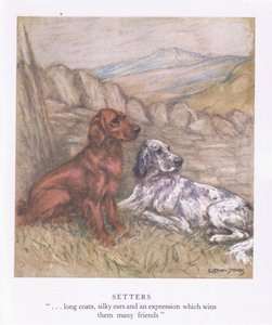 Beállító (színes litográfia)