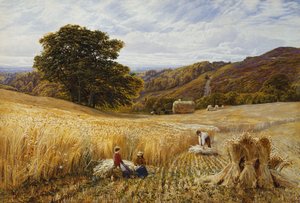 Betakarítási idő Holmbury Hill közelében, Surrey alkotó: George Vicat Cole