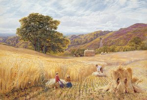 Betakarítási idő a Holmbury Hill közelében, Surrey, 1865 (wc és testszín papíron)