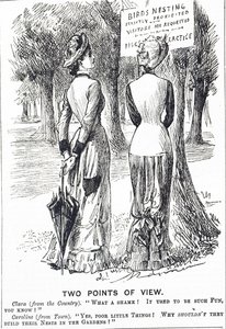 Rajzfilm, amely kommentálja az 1880. évi madárvédelmi törvényt alkotó: George du Maurier