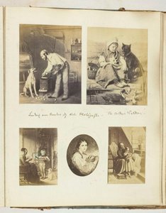 Untitled [illusztrációk oldala], 185568.