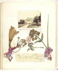 Untitled [Broadlands látványa szárított virágokkal], 1868.