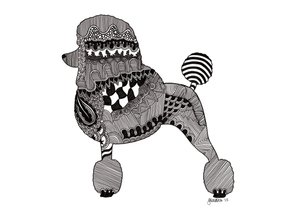 Poodle, 2015 (tus, bristol karton)