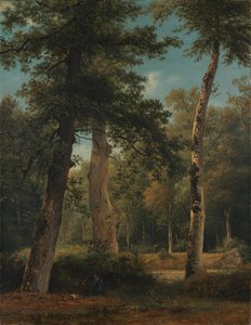 Erdő Fontainebleau-ban alkotó: Georgius Jacobus Johannes van Os