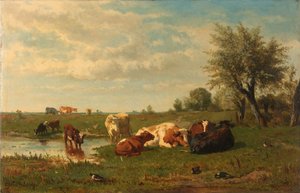 Tehenek a réten