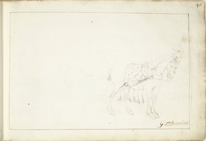 Ló, jobbra alkotó: Gerard ter Borch (II) (signed by artist)