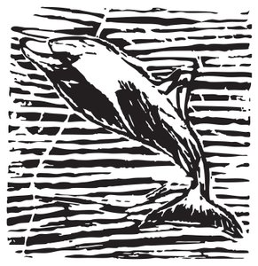 Delfin