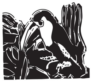 Toucan alkotó: Gerhardt Isringhaus