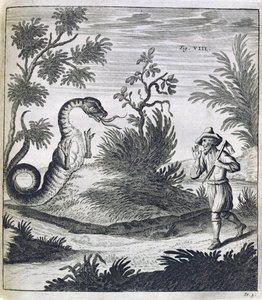 Egy félelmetes sárkány, 1660 körül alkotó: German School