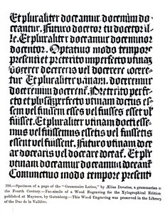 A „Grammaire Latine” oldala, Aelius Donatus, illusztrációja a „Tudomány és irodalom a középkorban és a reneszánszban” című könyvéből, Paul Lacroix írta és vésette, 1878 alkotó: German School